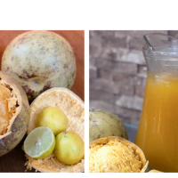 Bael Sharbat (Wood Apple Cooler) - Beat The Heat With This Summer Drink